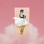 Unique Flying Skirt Tissue Boxes - Image 8
