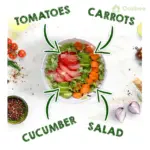Salad Cutter Bowl - Image 6